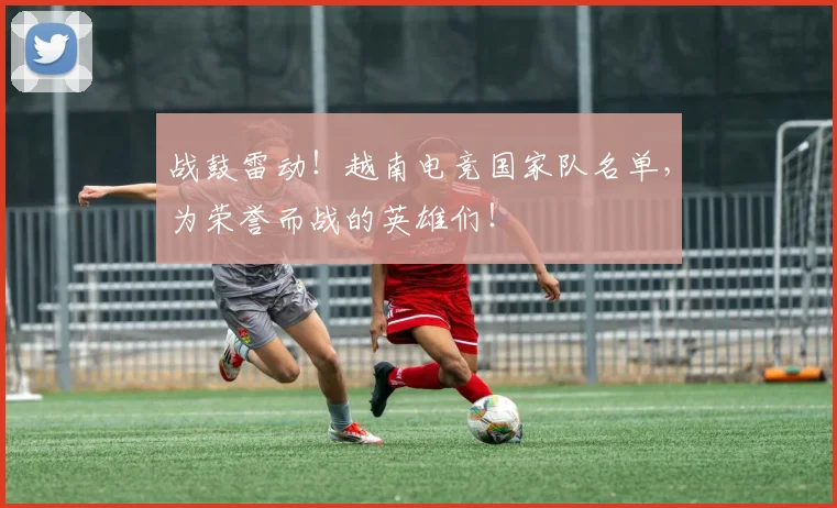 战鼓雷动！越南电竞国家队名单，为荣誉而战的英雄们！